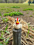 Chicken hatchling