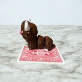 Highland Cow - Articulated