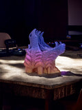 Dragon head controller holder