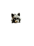 Forest raccoon