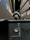 Forest raccoon