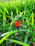 Baby ladybug keychain